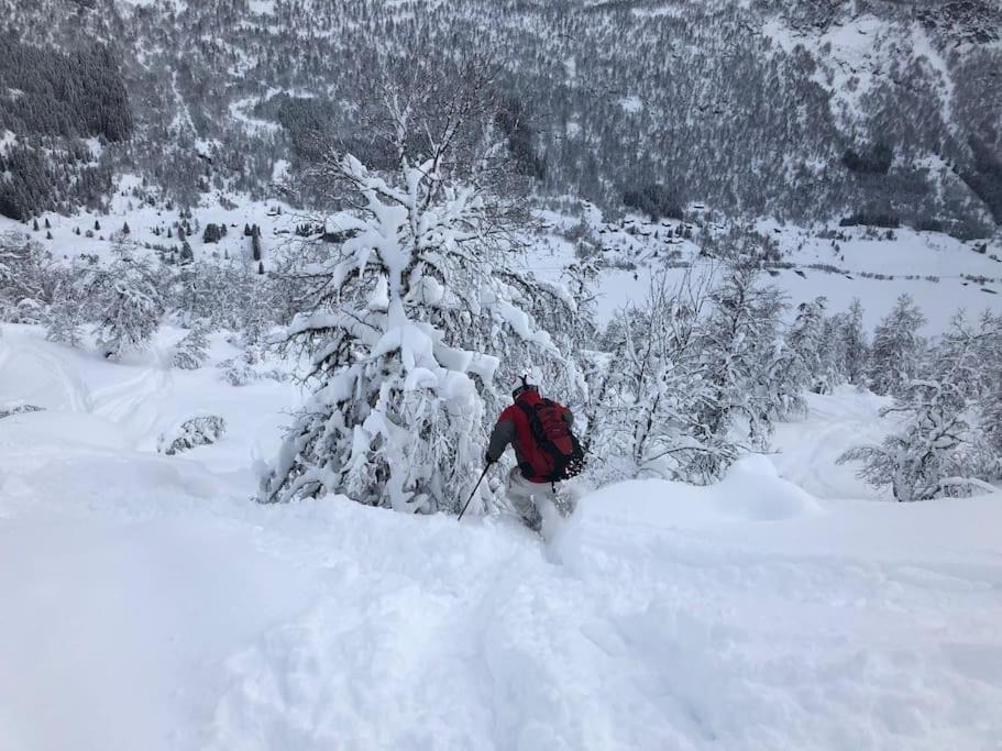 Photo of Others in Sogndal