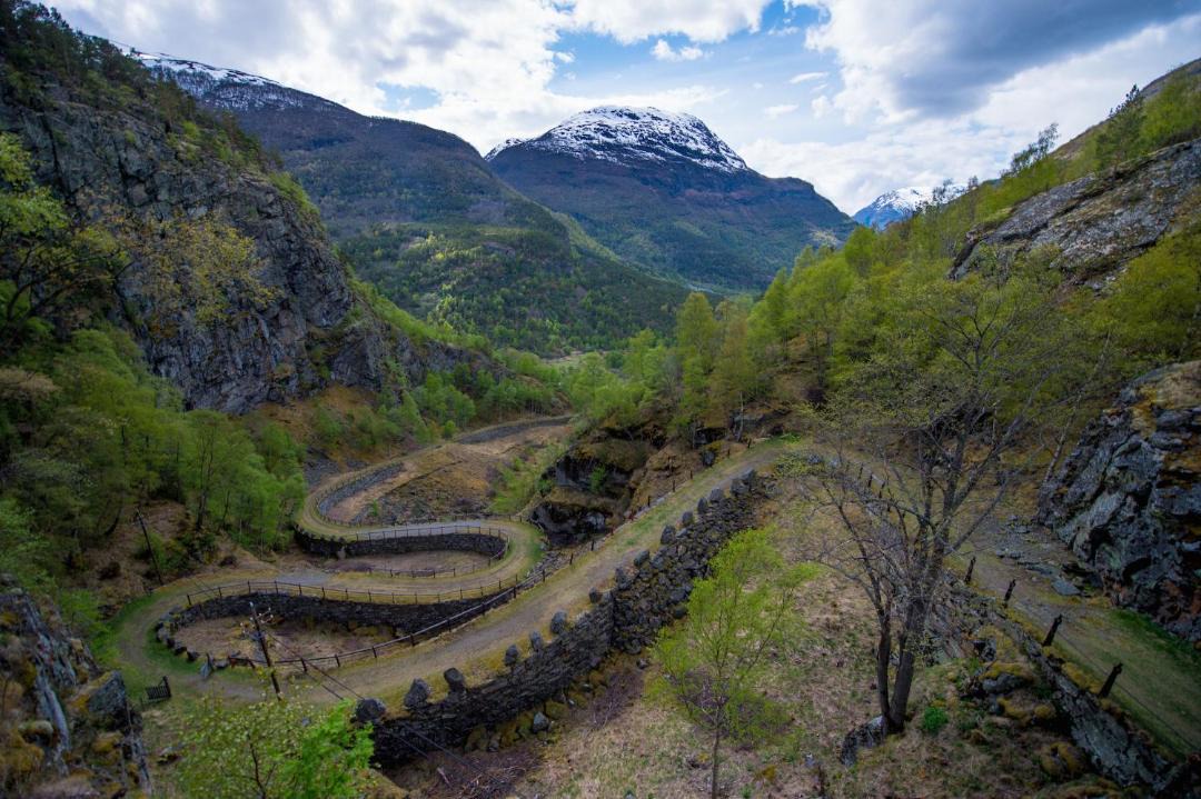 Photo of Others in Lærdalsøyri
