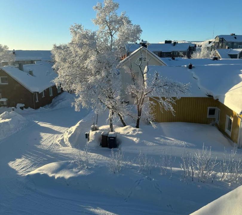 Photo of Others in Kiruna