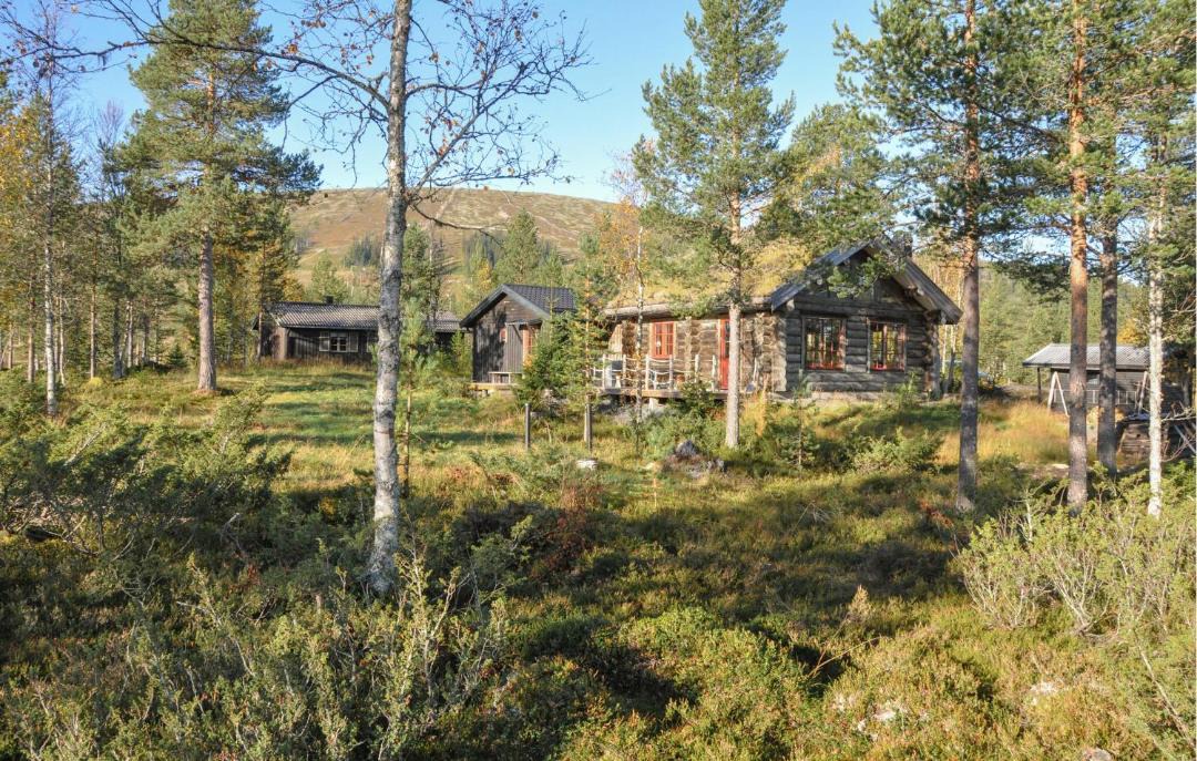 Photo of Others in Fjatervalen