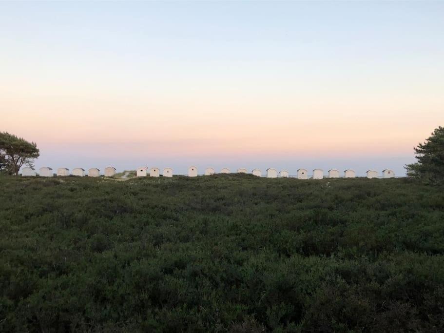 Photo of Others in Ljunghusen