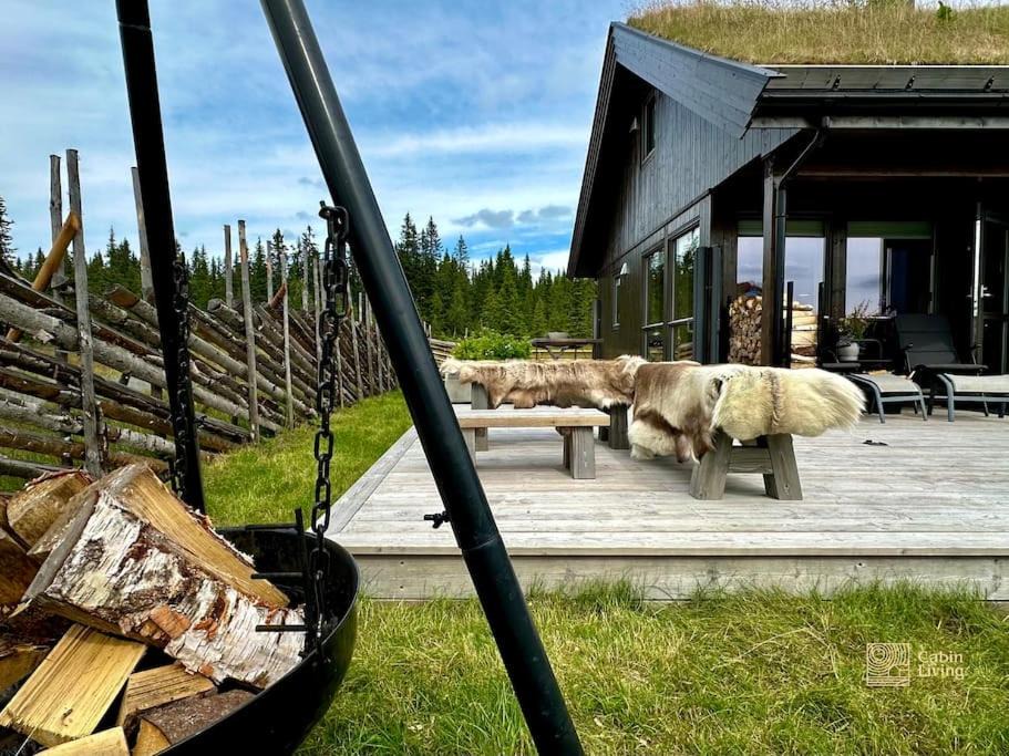 Photo of Others in Sjusjoen