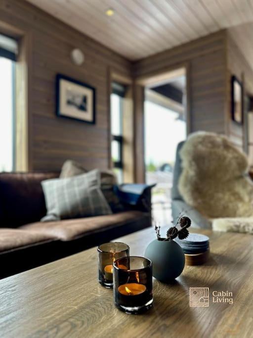 Photo of Livingroom in Sjusjoen