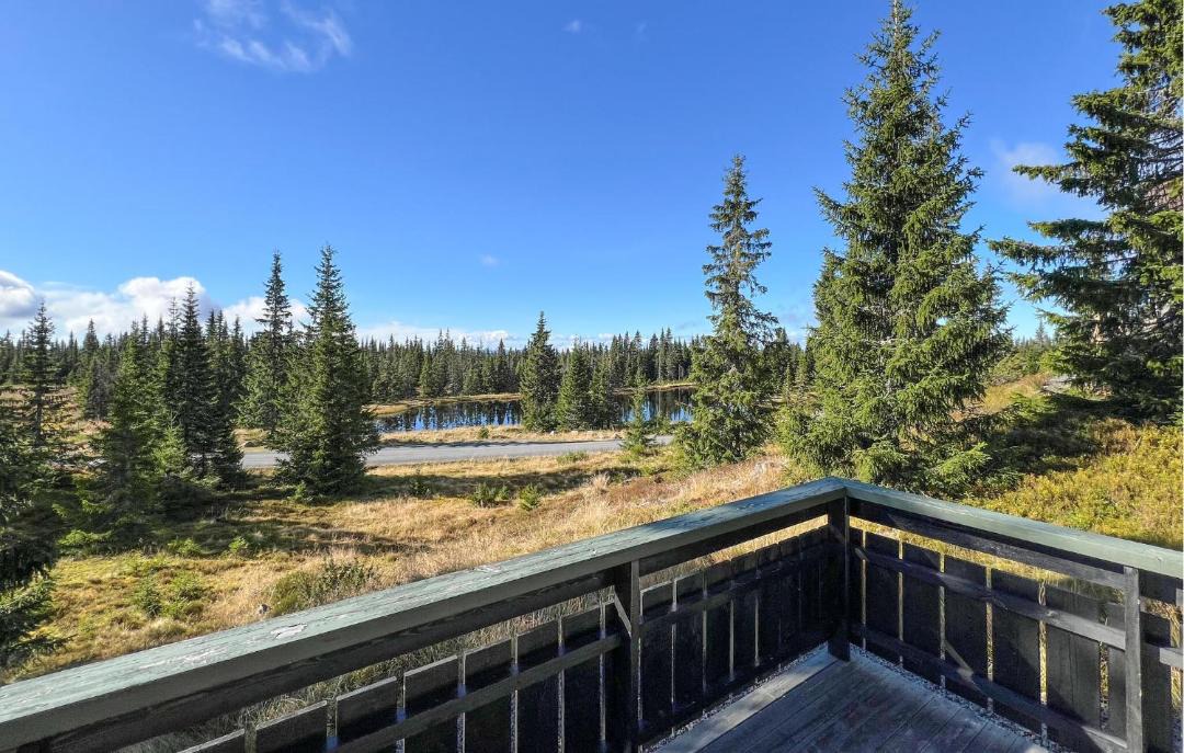 Photo of Others in Sjusjoen