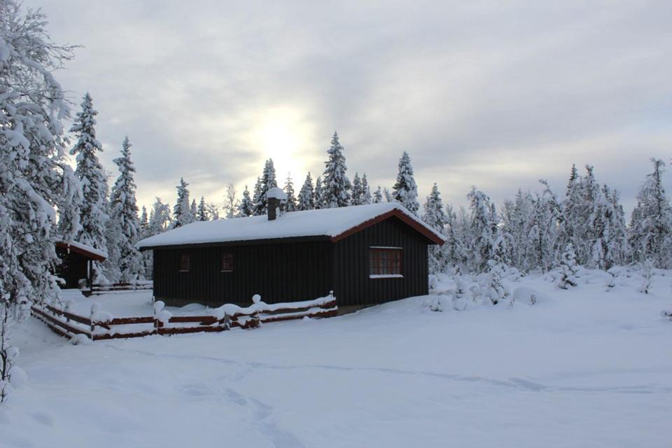 Photo of Others in Kamben
