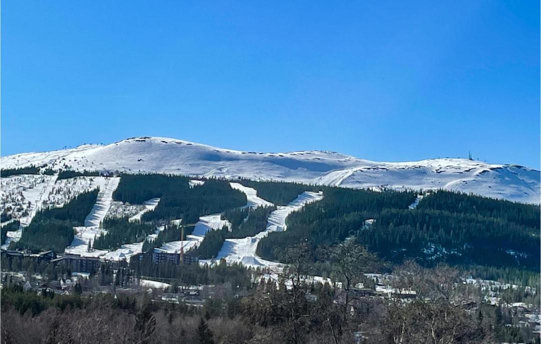 Photo of Others in Trysil