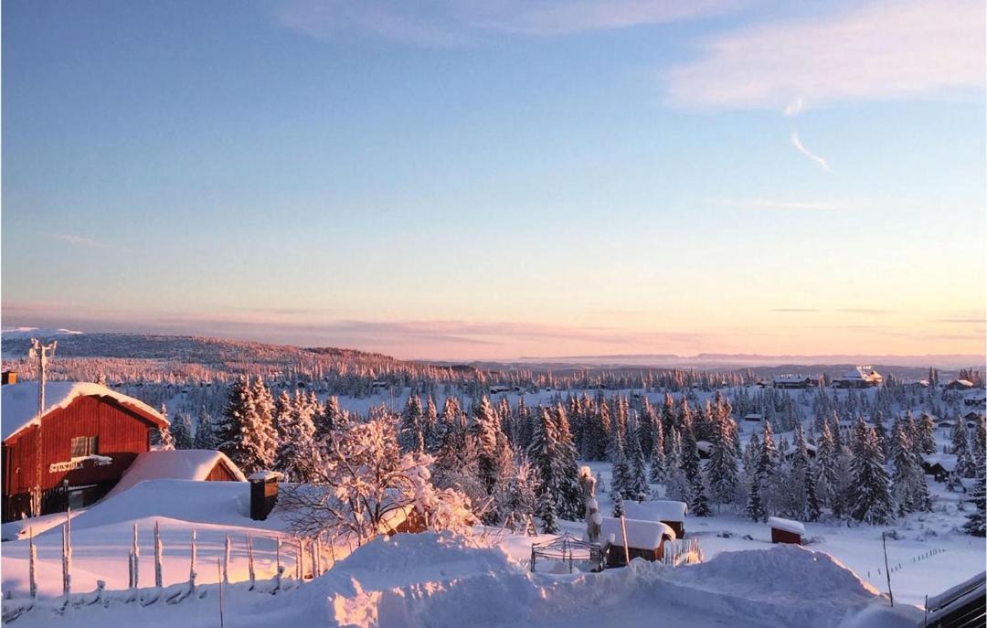 Photo of Others in Sjusjoen