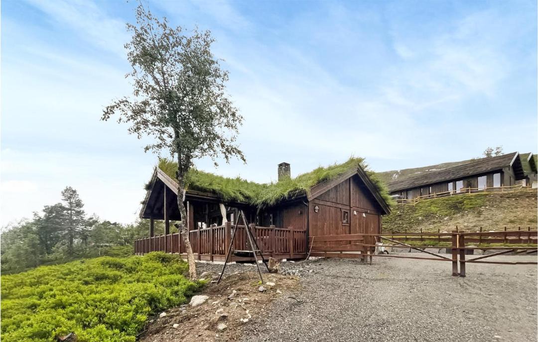 Photo of Others in Hornindal