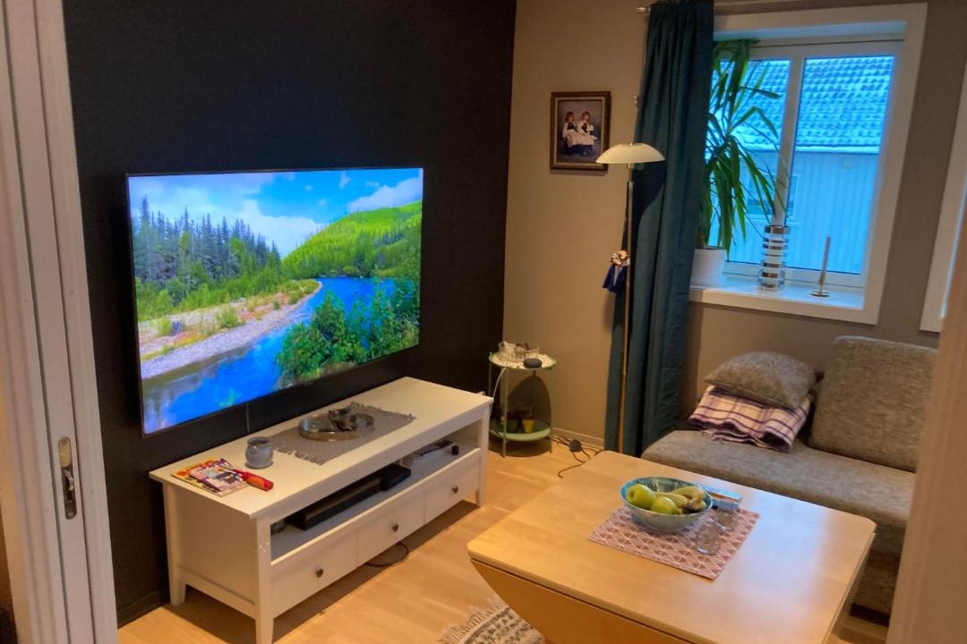 Photo of Livingroom in Bodo