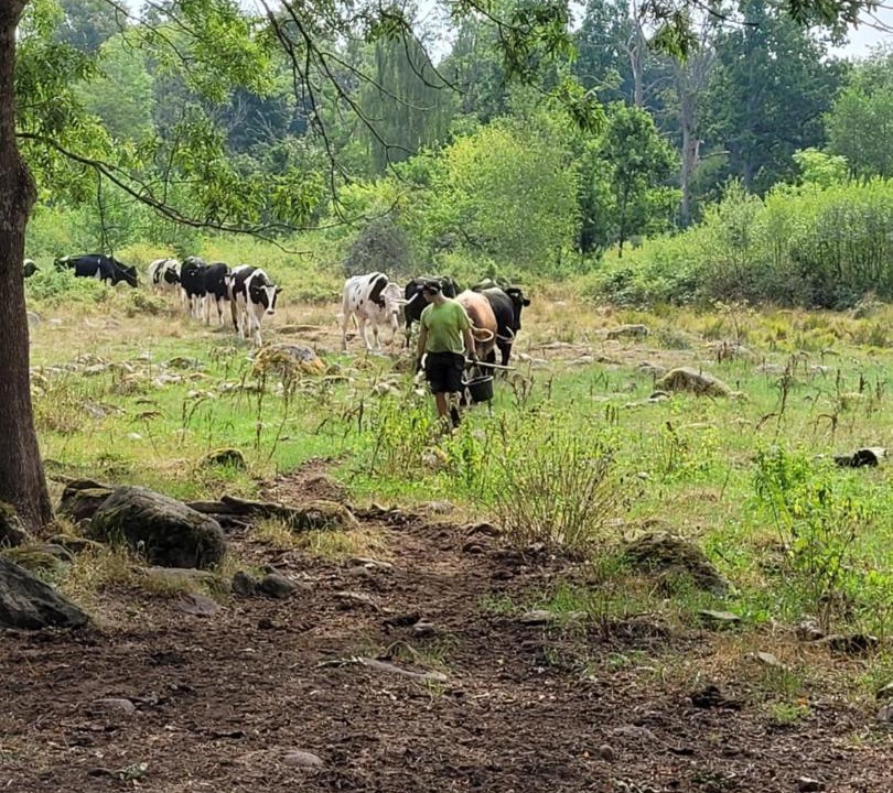 Photo of Others in Ruggstorp