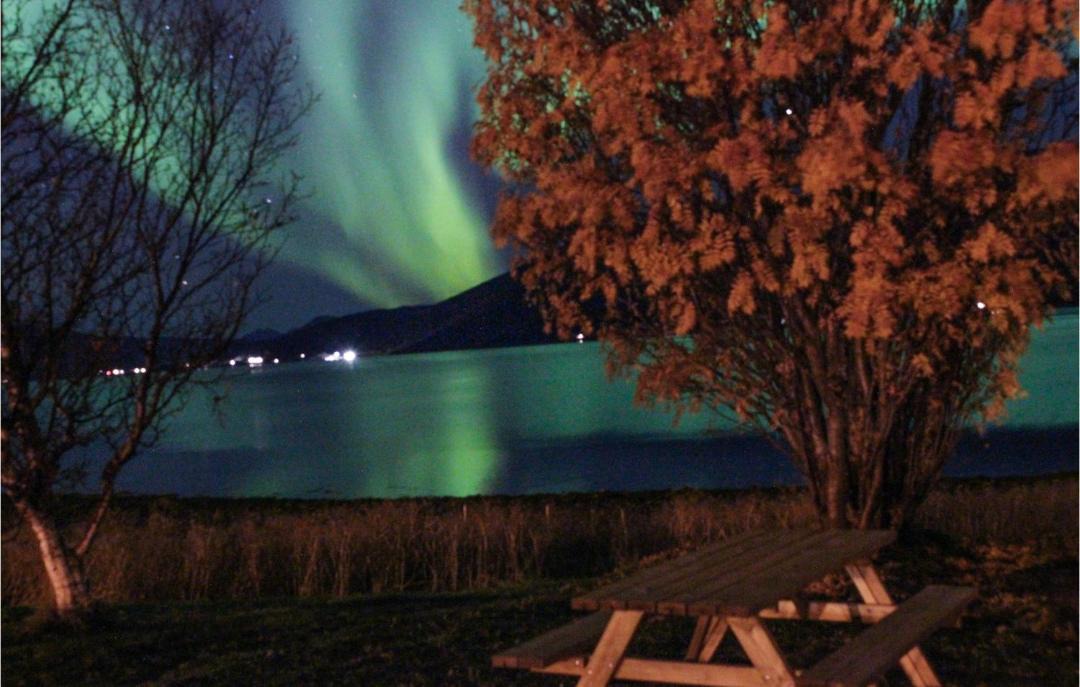 Photo of Others in Tromso