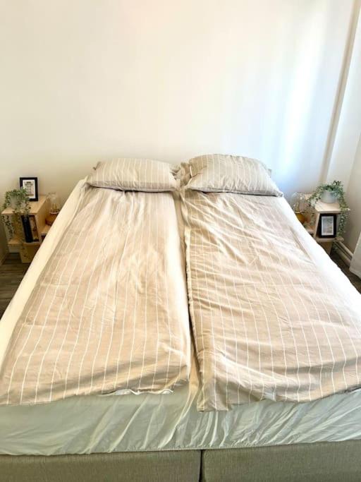 Photo of Bedroom in Sinsen