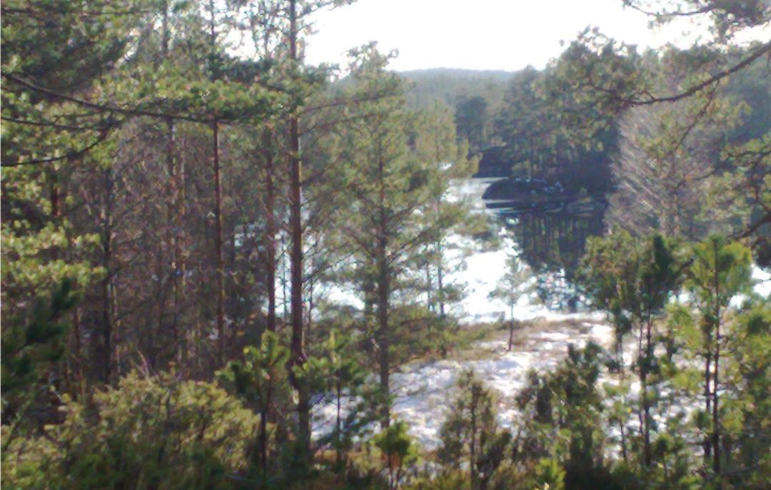 Photo of Others in Birkenes