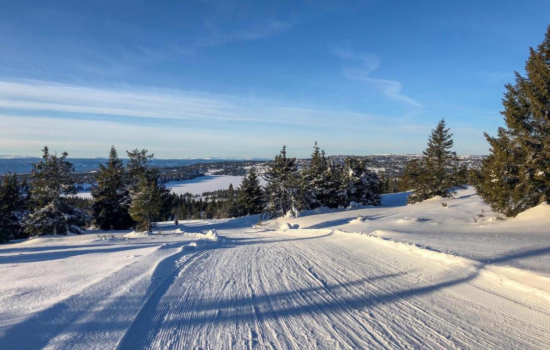 Photo of Others in Sjusjoen