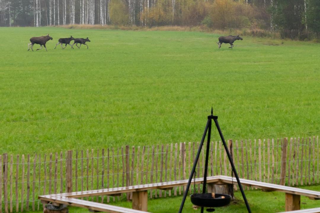 Photo of Others in Glava