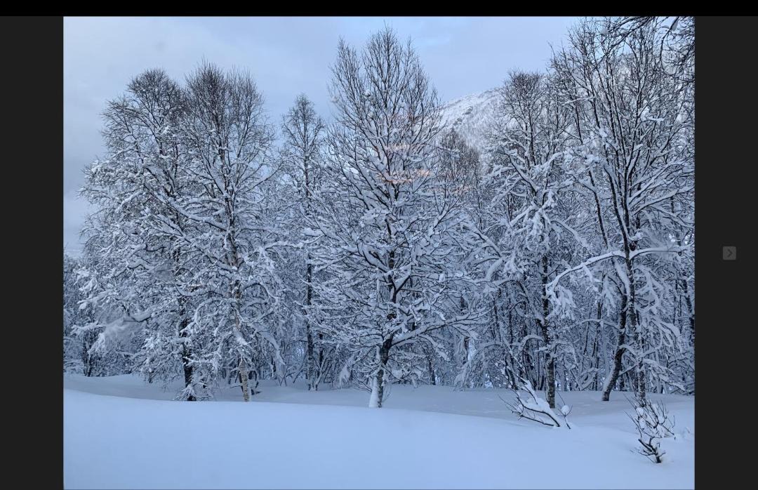 Photo of Others in Tromsdalen