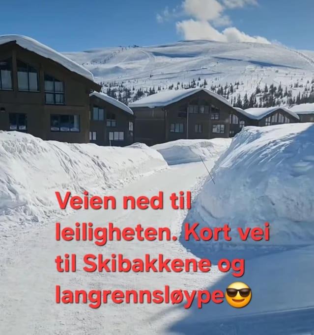 Photo of Others in Mælem