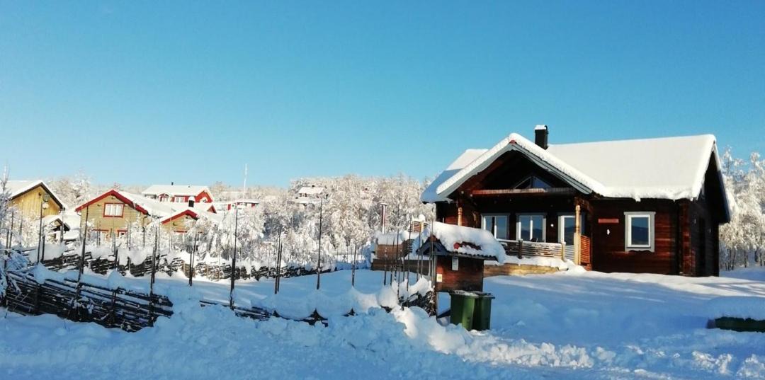 Photo of Others in Bruksvallarna