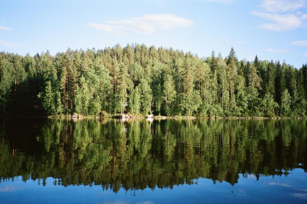 Photo of Others in Kuortti