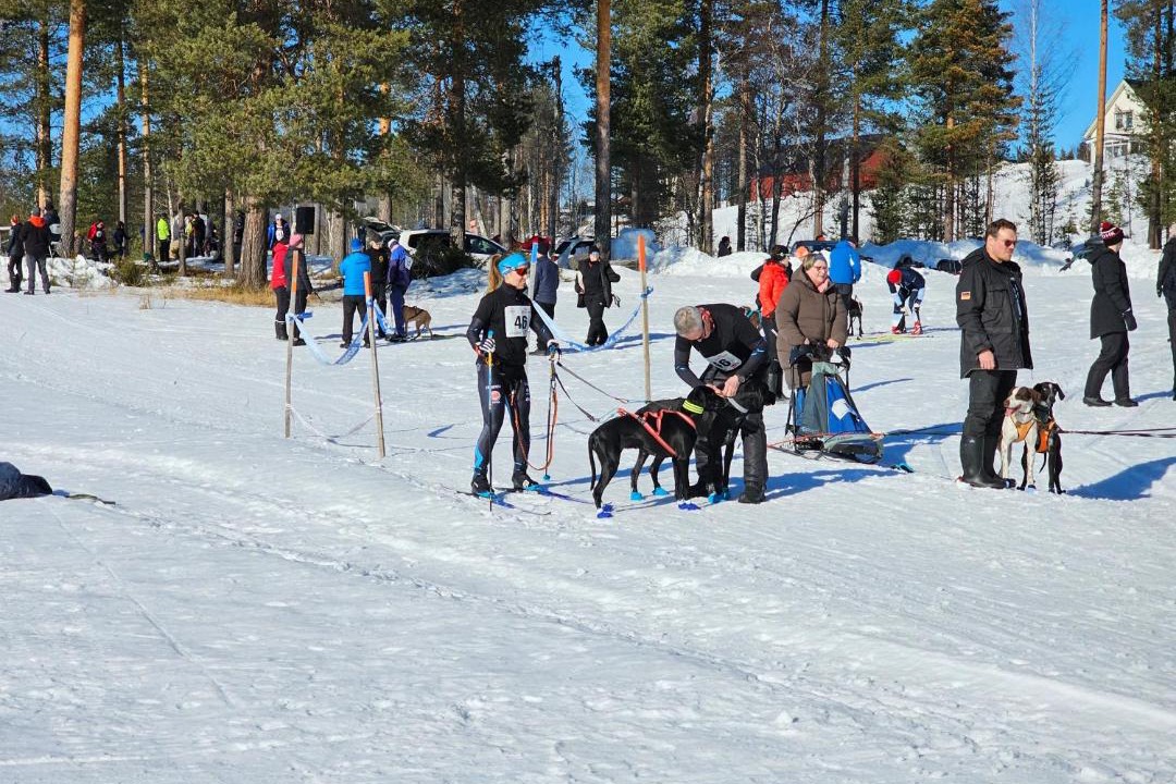 Photo of Others in Rusksele
