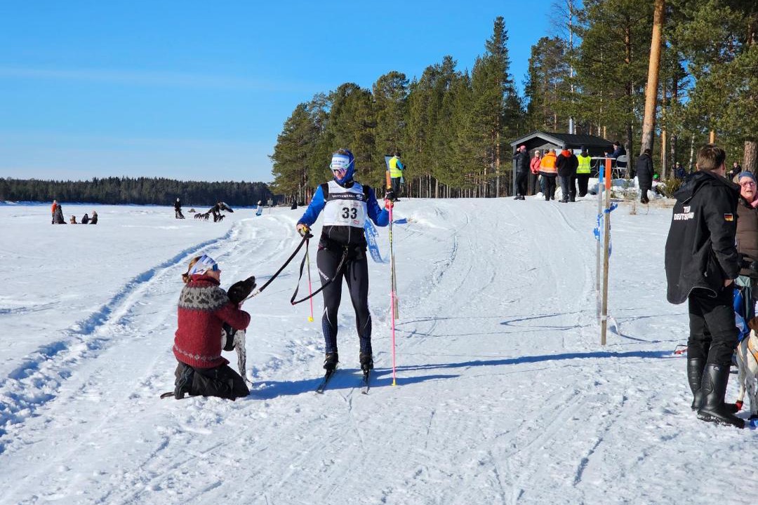 Photo of Others in Rusksele