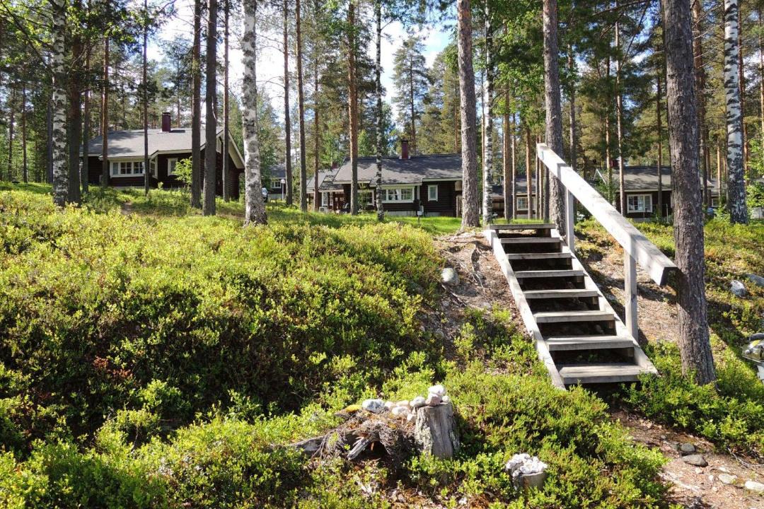 Photo of Others in Koli National Park