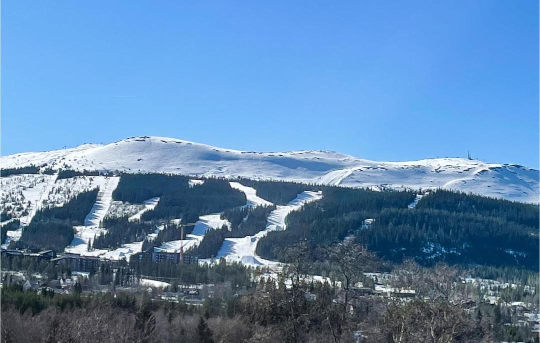 Photo of Others in Trysil