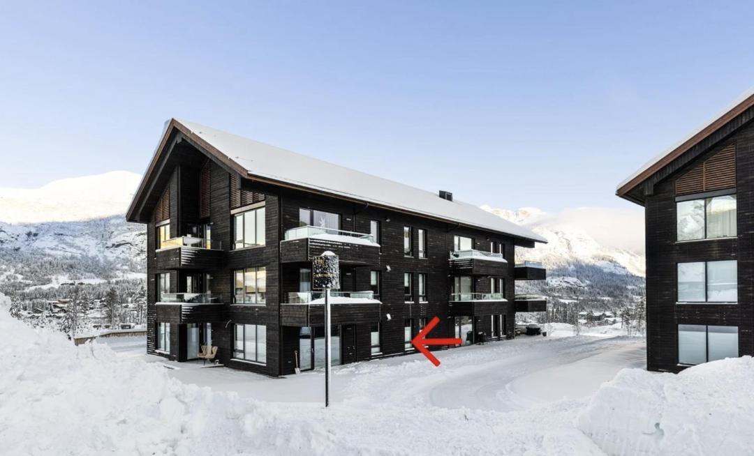 Photo of Others in Hemsedal