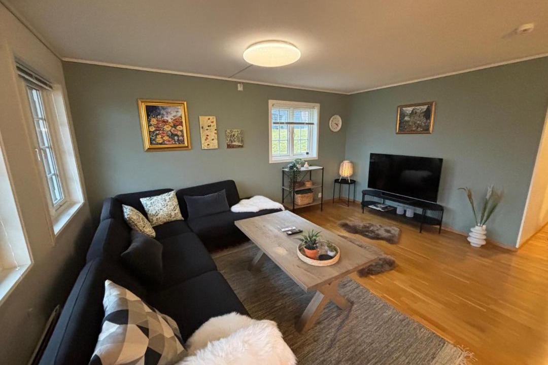 Photo of Livingroom in Roldal