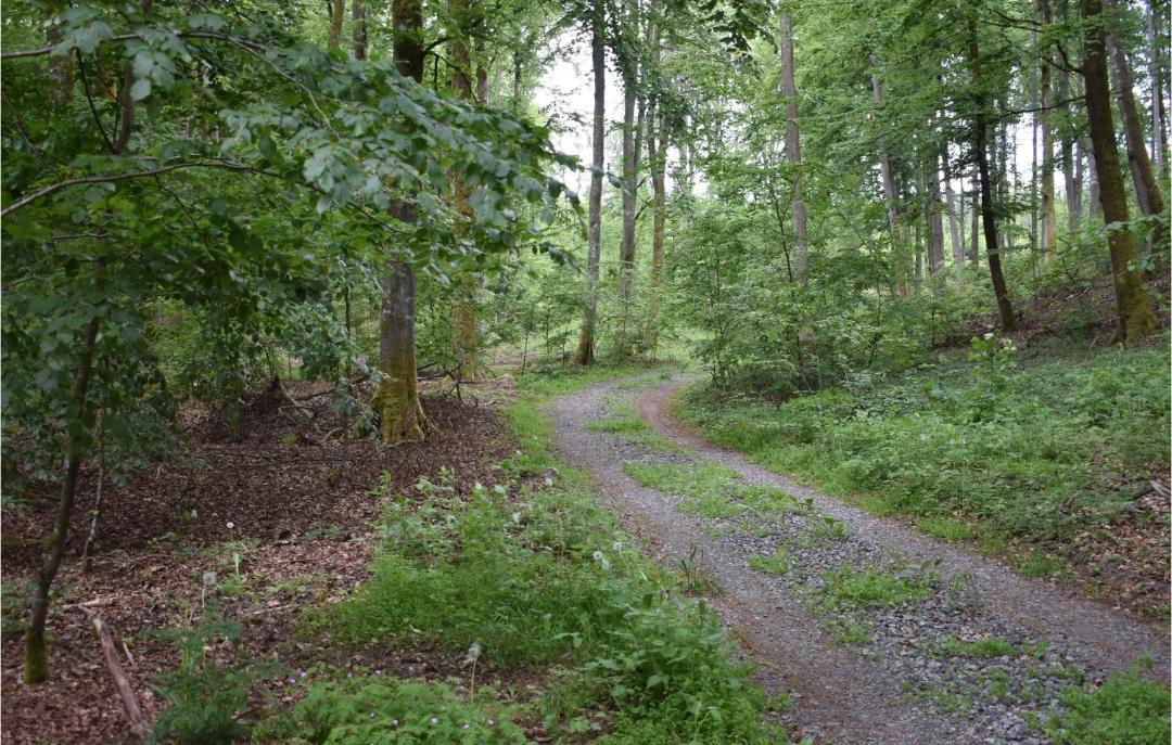 Photo of Outdoor in Vinslov