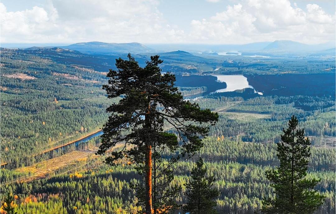 Photo of Others in Alvdalen