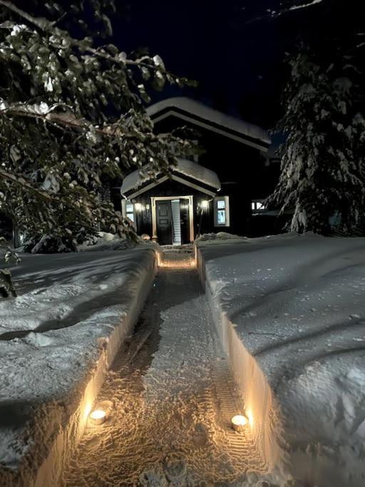 Photo of Others in Hemsedal