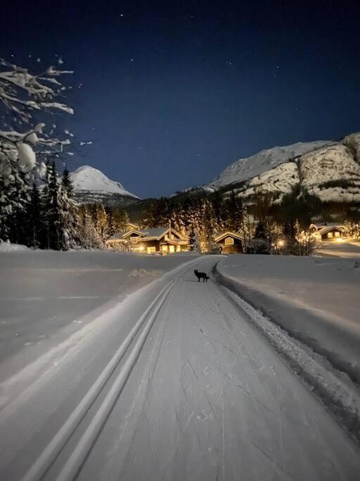 Photo of Others in Hemsedal