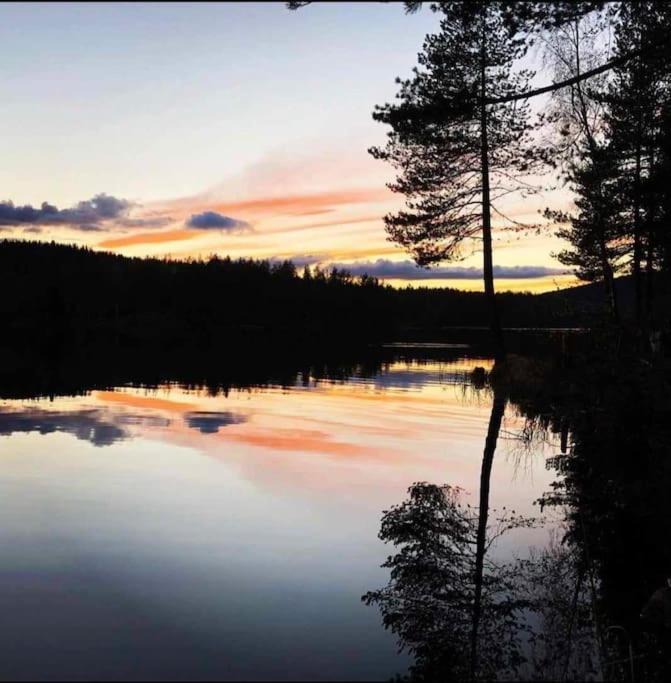 Photo of Others in Oslo