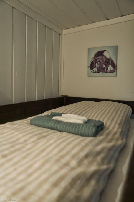 Photo of Bedroom in Oslo