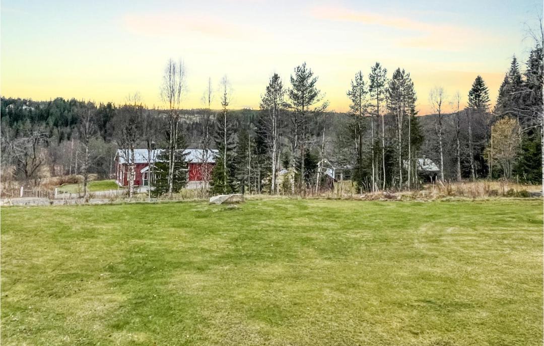 Photo of Others in Trysil