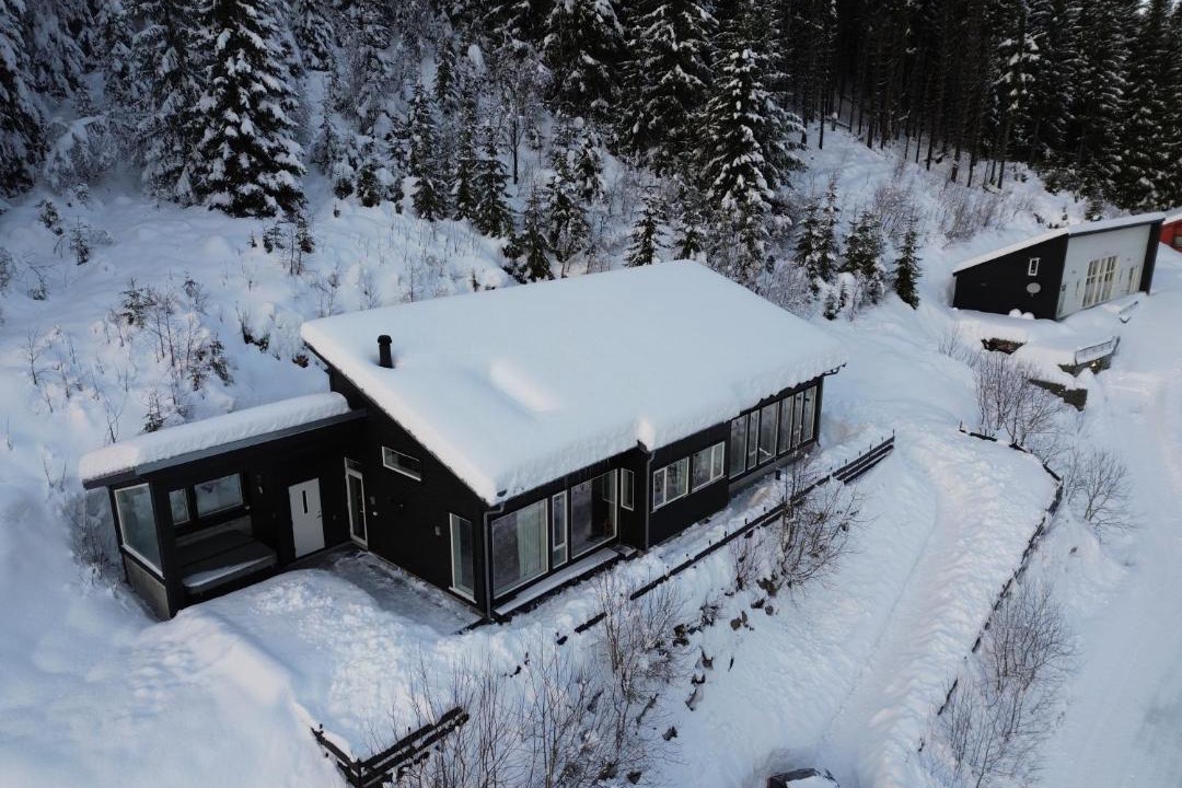 Photo of Others in Svidalen