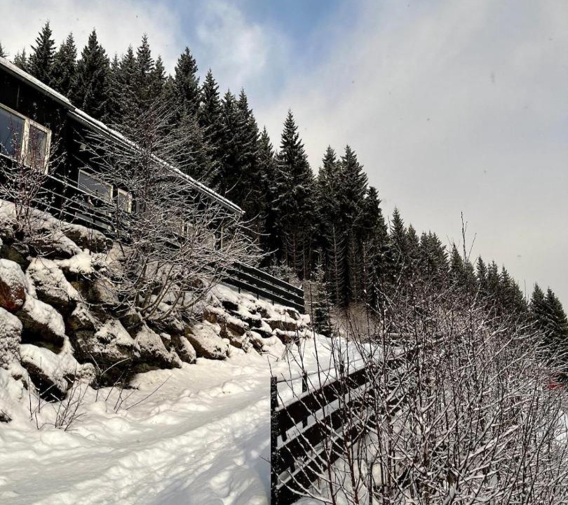 Photo of Others in Svidalen