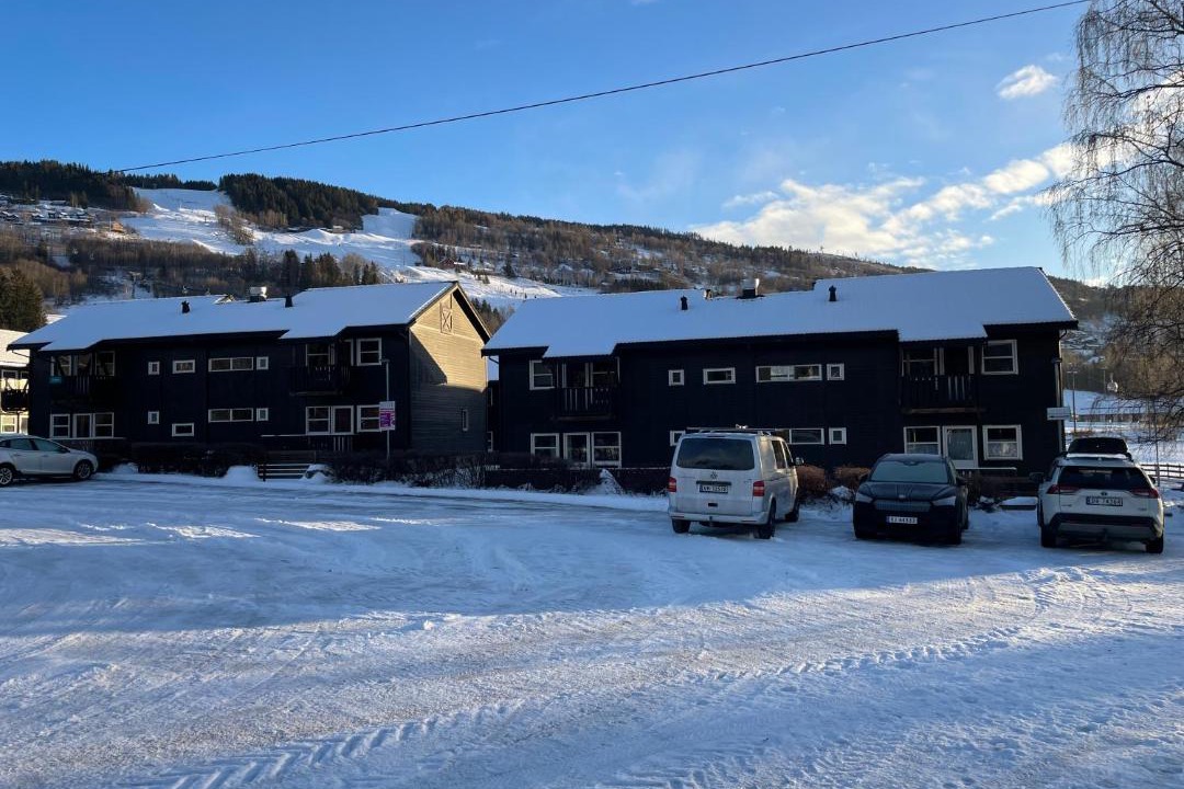 Photo of Others in Hafjell