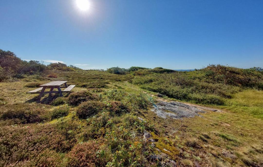 Photo of Others in Skummesloevsstrand