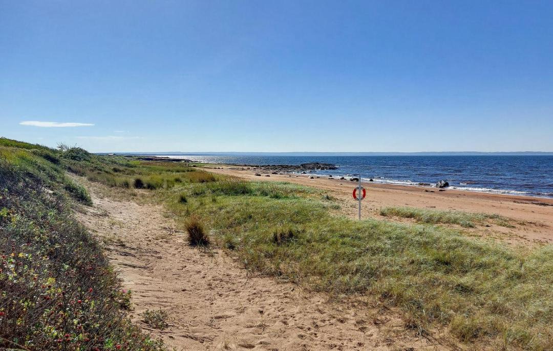 Photo of Others in Skummesloevsstrand