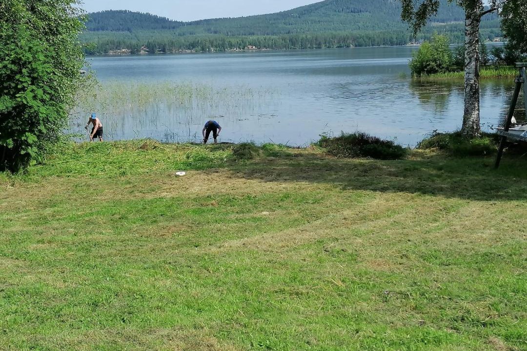 Photo of Others in Rengsjo
