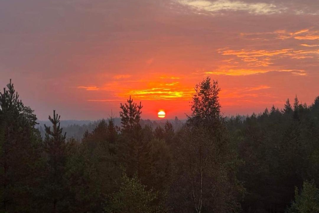 Photo of Others in Backefors