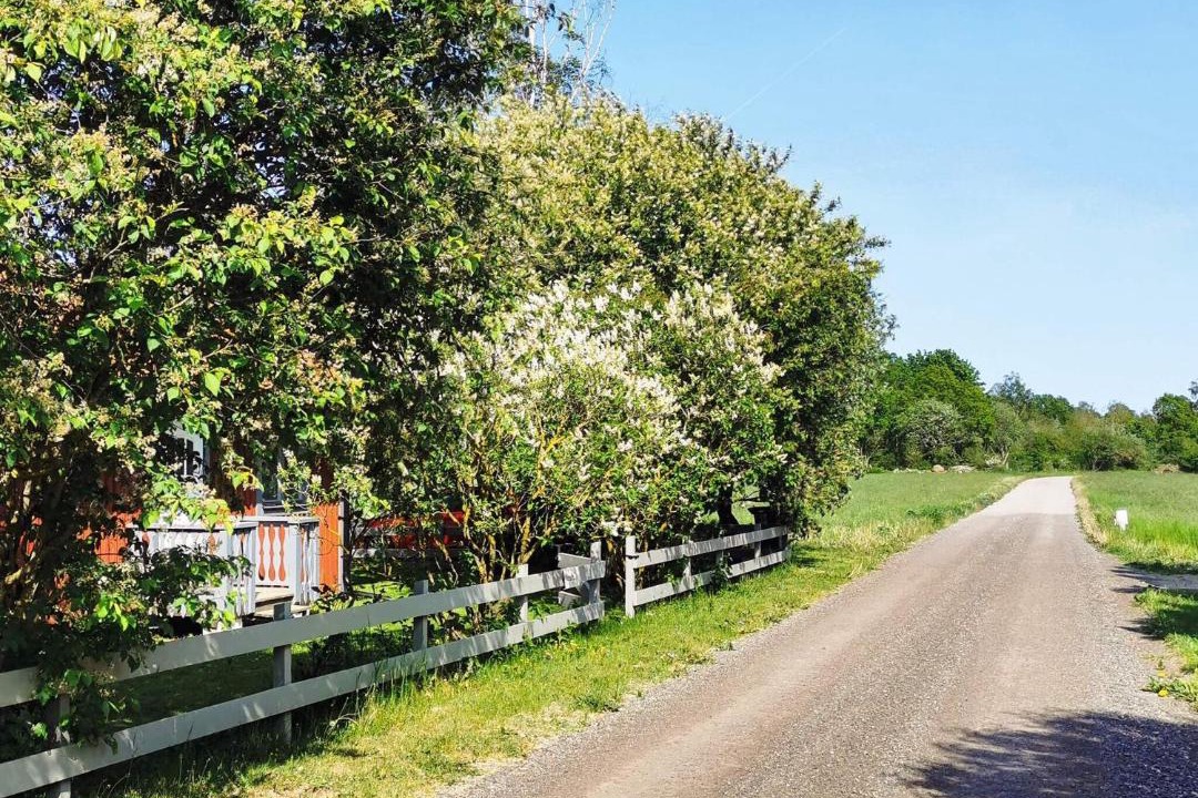 Photo of Others in Farjestaden