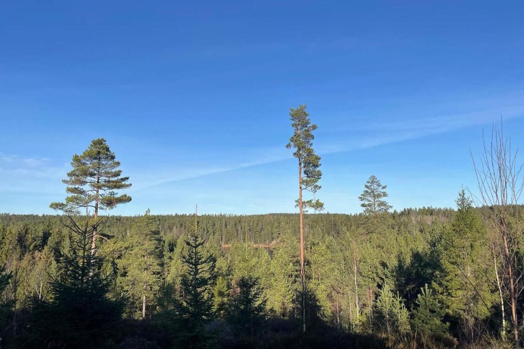 Photo of Others in Backefors