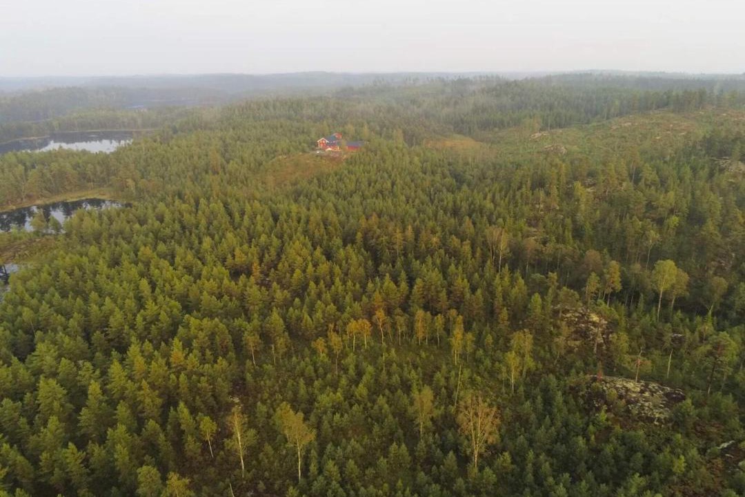 Photo of Others in Backefors