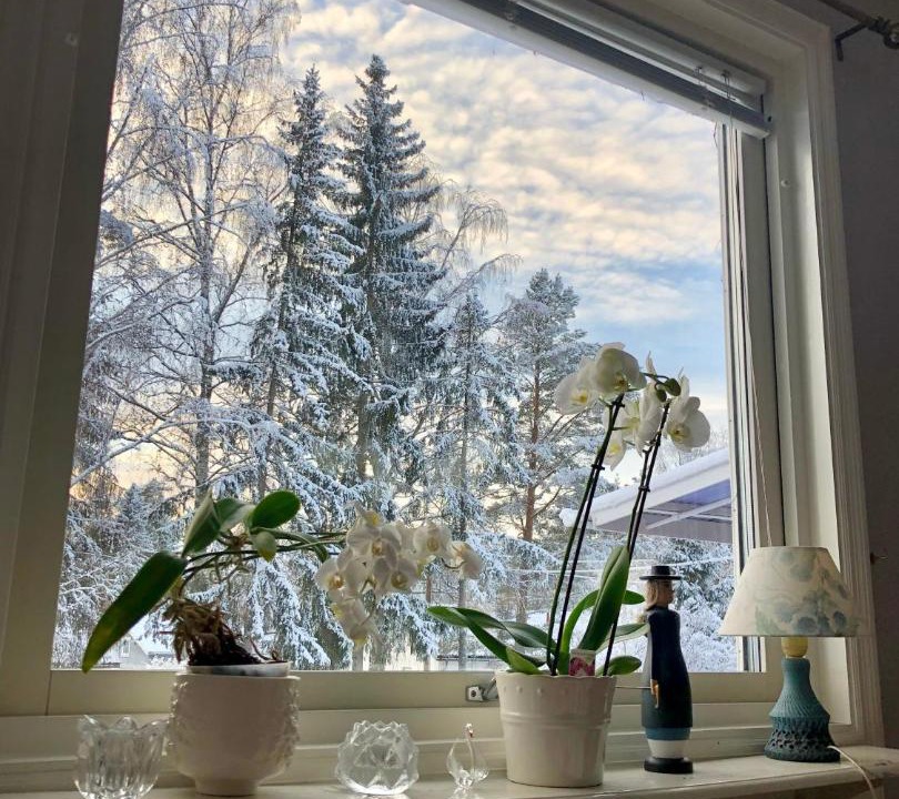 Photo of Others in Falun