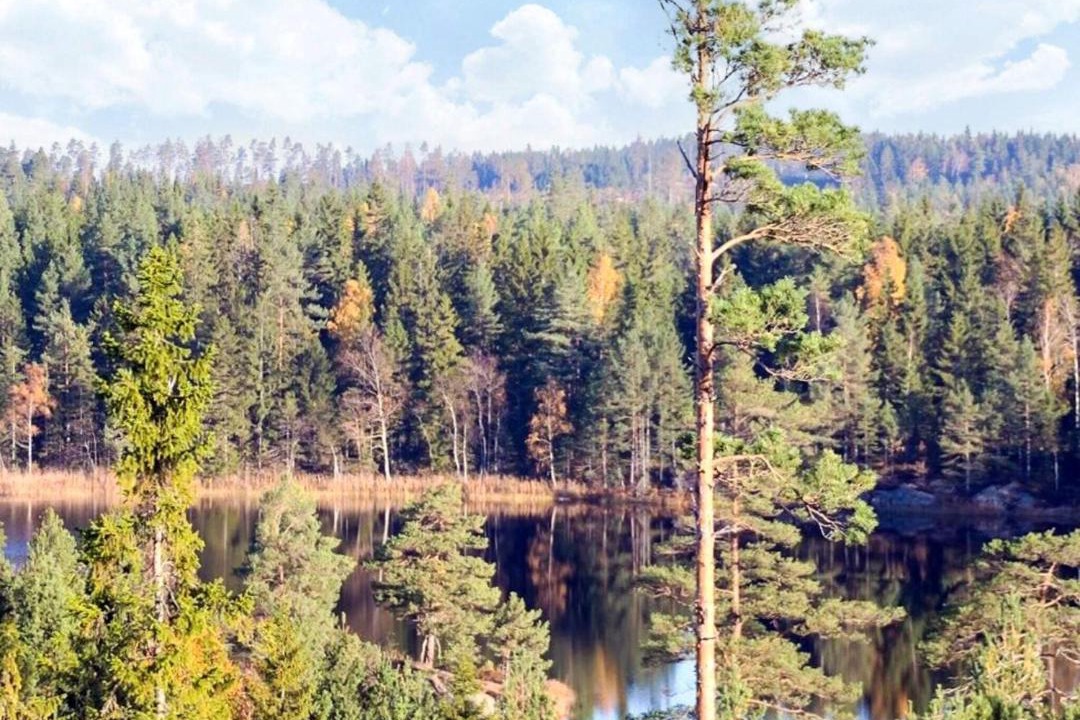 Photo of Others in Backefors