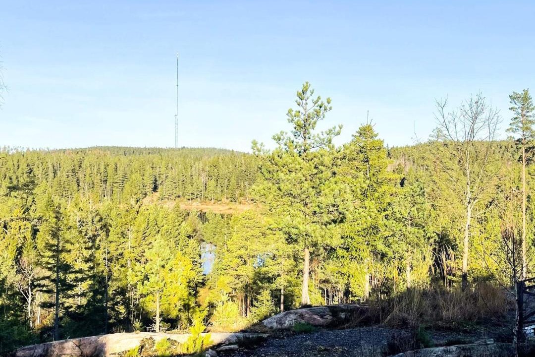 Photo of Others in Backefors