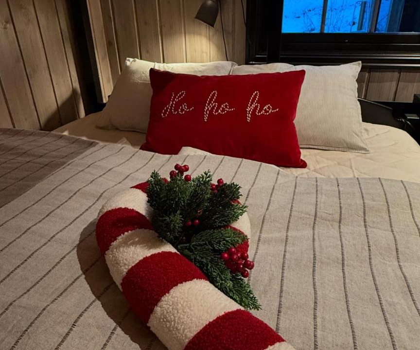 Photo of Bedroom in Trysil